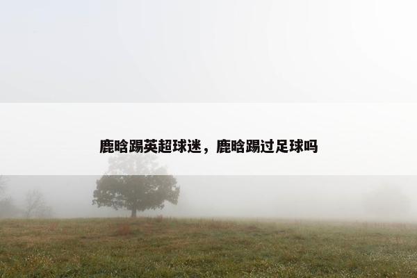 鹿晗踢英超球迷，鹿晗踢过足球吗