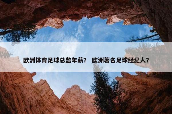 欧洲体育足球总监年薪？ 欧洲著名足球经纪人？