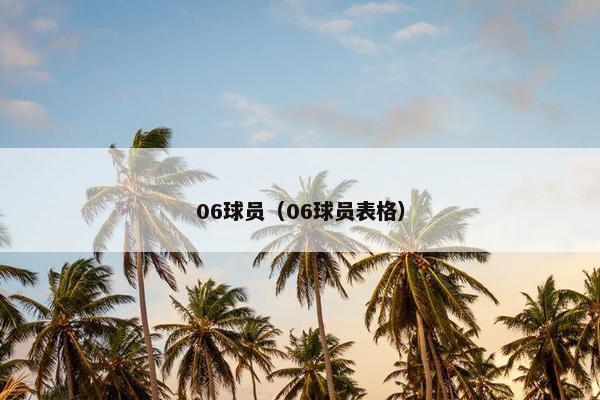 06球员（06球员表格）