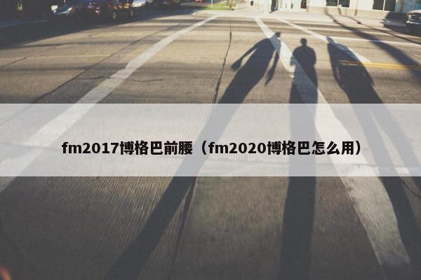 fm2017博格巴前腰（fm2020博格巴怎么用）
