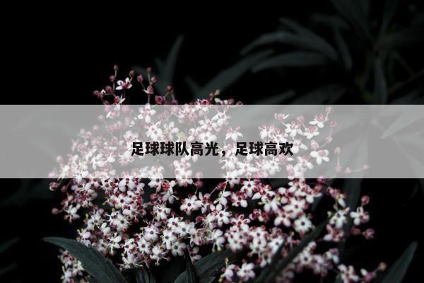 足球球队高光，足球高欢
