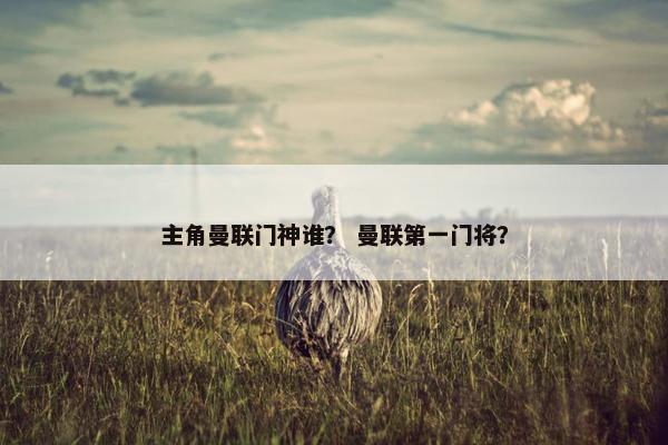 主角曼联门神谁？ 曼联第一门将？