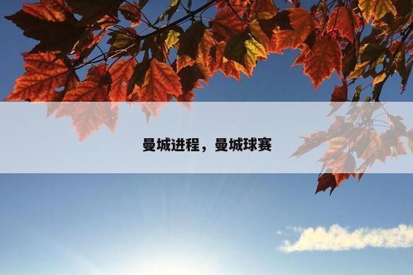 曼城进程，曼城球赛