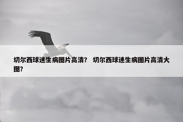 切尔西球迷生病图片高清？ 切尔西球迷生病图片高清大图？