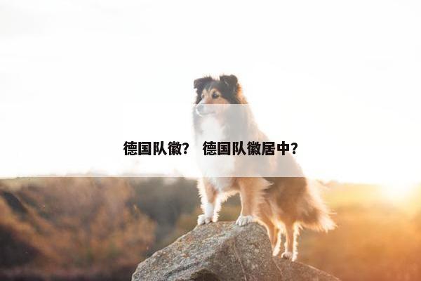 德国队徽？ 德国队徽居中？