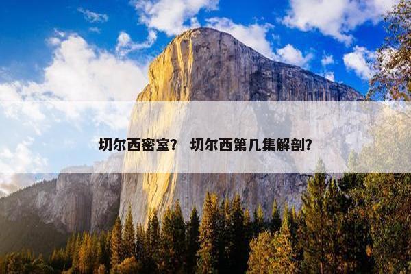 切尔西密室? 切尔西第几集解剖? 切尔西密室? 切尔西第几集解剖?