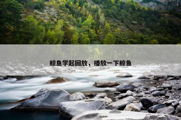 鲸鱼学起回放，播放一下鲸鱼