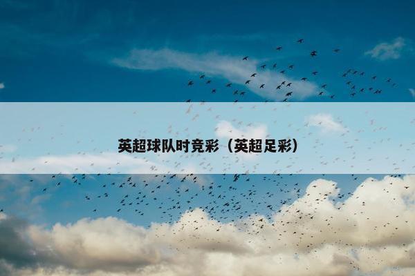 英超球队时竞彩（英超足彩）