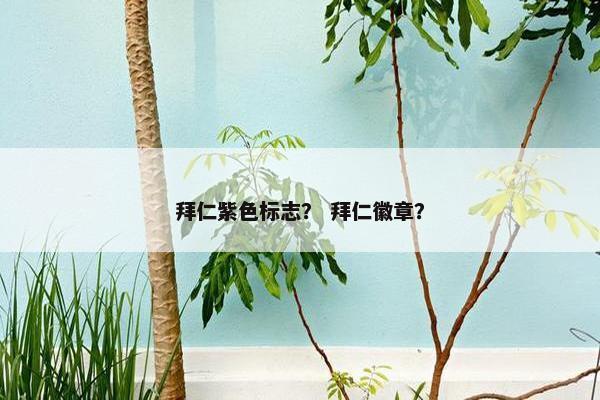 拜仁紫色标志？ 拜仁徽章？