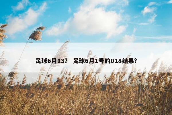 足球6月13？ 足球6月1号的018结果？