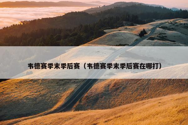 韦德赛季末季后赛(韦德赛季末季后赛在哪打) 韦德赛季末季后赛(韦德赛季末季后赛在哪打)