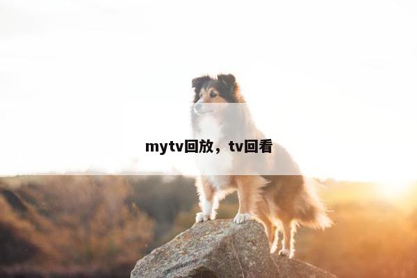 mytv回放，tv回看