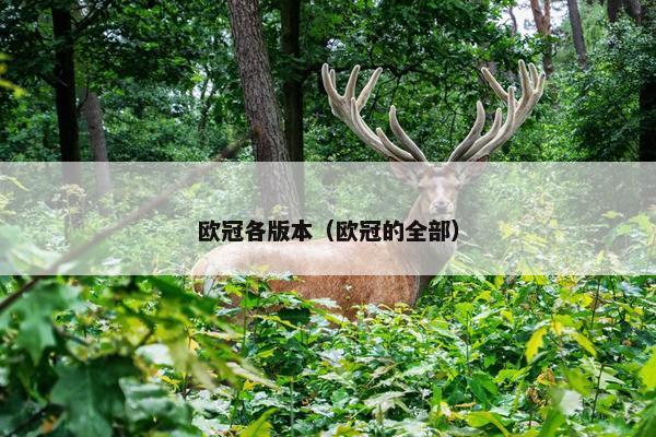 欧冠各版本（欧冠的全部）