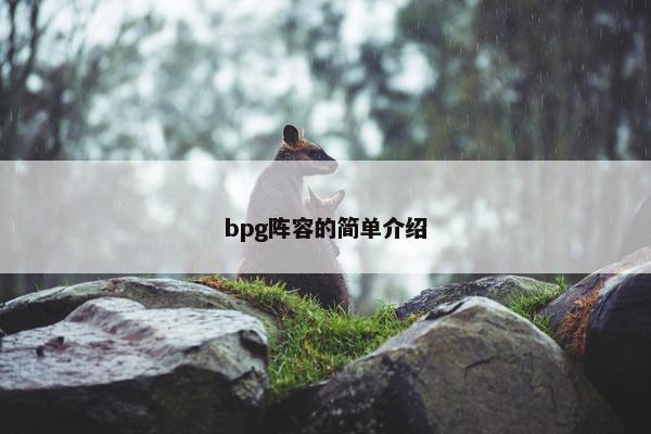 bpg阵容的简单介绍