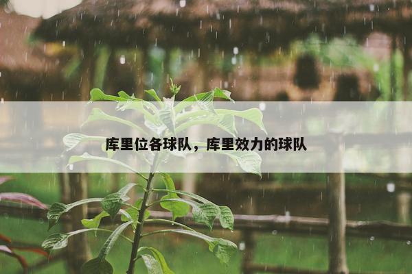 库里位各球队，库里效力的球队