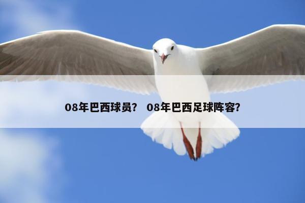 08年巴西球员？ 08年巴西足球阵容？
