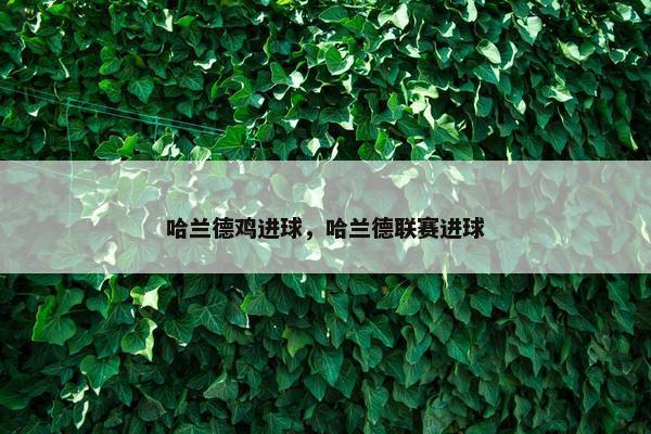 哈兰德鸡进球，哈兰德联赛进球