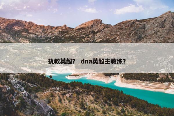 执教英超？ dna英超主教练？