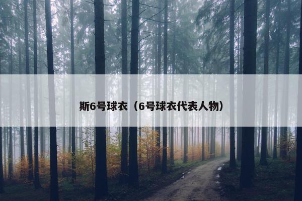 斯6号球衣（6号球衣代表人物）