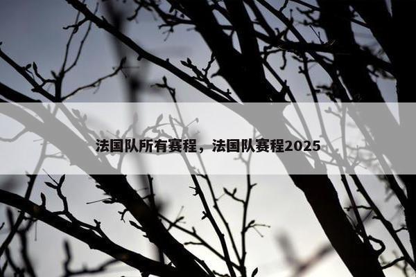 法国队所有赛程,法国队赛程2025 法国队所有赛程,法国队赛程2025