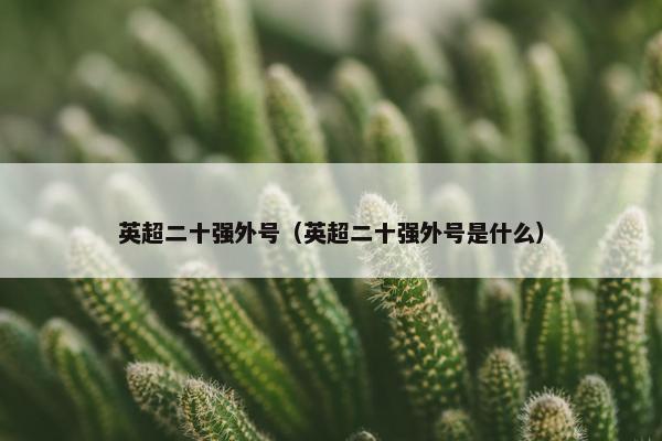 英超二十强外号（英超二十强外号是什么）