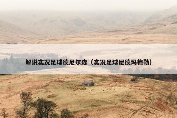 解说实况足球德尼尔森（实况足球尼德玛梅勒）