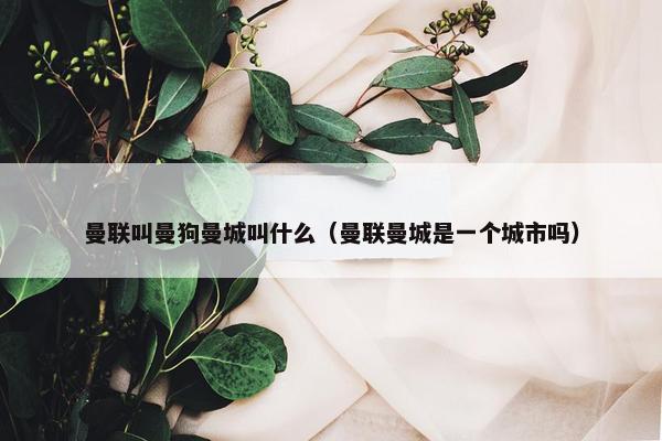 曼联叫曼狗曼城叫什么（曼联曼城是一个城市吗）