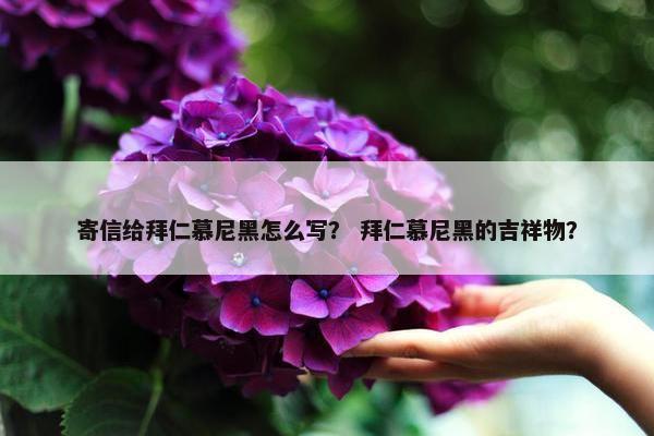 寄信给拜仁慕尼黑怎么写？ 拜仁慕尼黑的吉祥物？