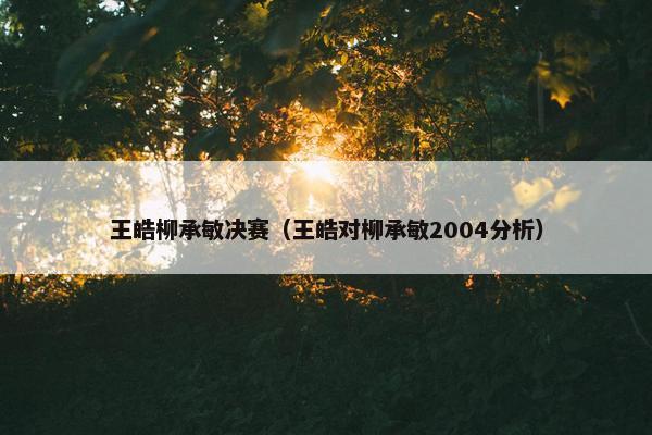 王皓柳承敏决赛（王皓对柳承敏2004分析）