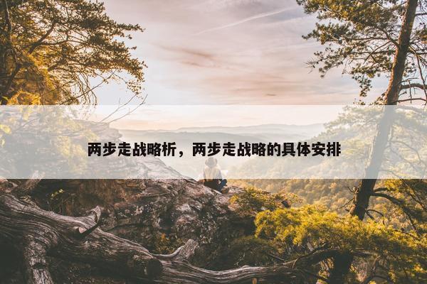 两步走战略析，两步走战略的具体安排