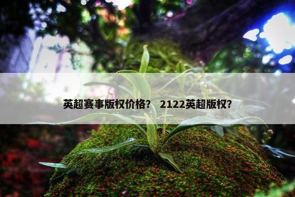 英超赛事版权价格？ 2122英超版权？