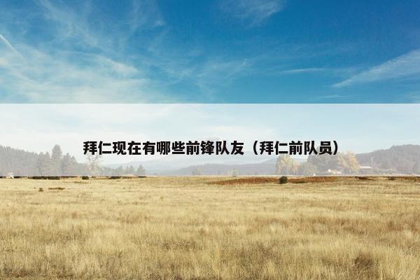 拜仁现在有哪些前锋队友（拜仁前队员）