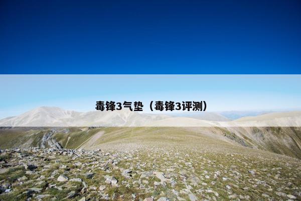 毒锋3气垫（毒锋3评测）