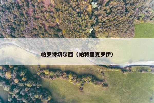 帕罗特切尔西（帕特里克罗伊）