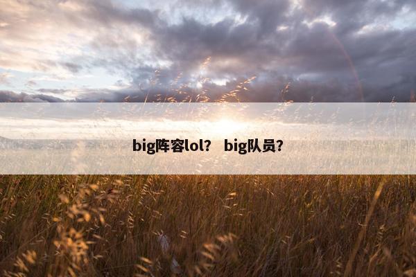 big阵容lol？ big队员？
