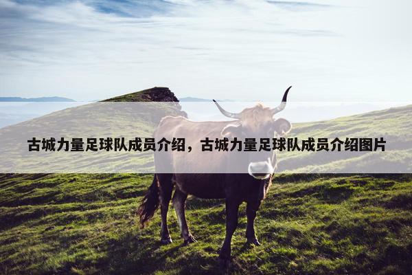 古城力量足球队成员介绍，古城力量足球队成员介绍图片