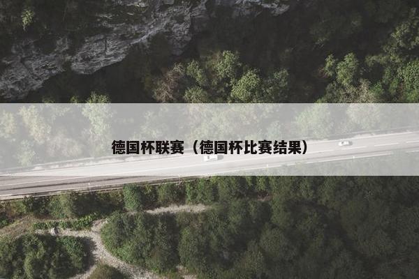 德国杯联赛（德国杯比赛结果）