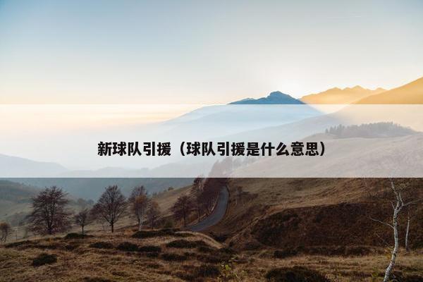 新球队引援（球队引援是什么意思）