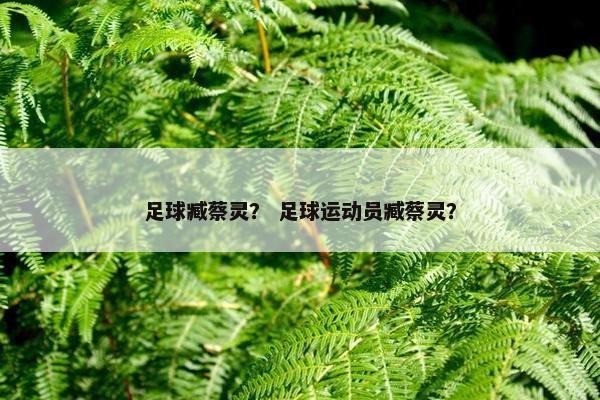 足球臧蔡灵？ 足球运动员臧蔡灵？