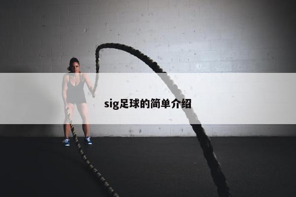 sig足球的简单介绍