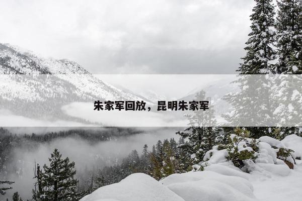 朱家军回放，昆明朱家军