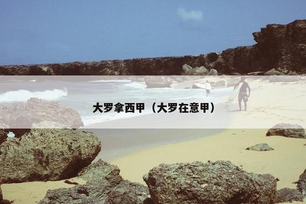 大罗拿西甲（大罗在意甲）