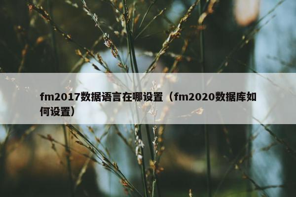 fm2017数据语言在哪设置（fm2020数据库如何设置）