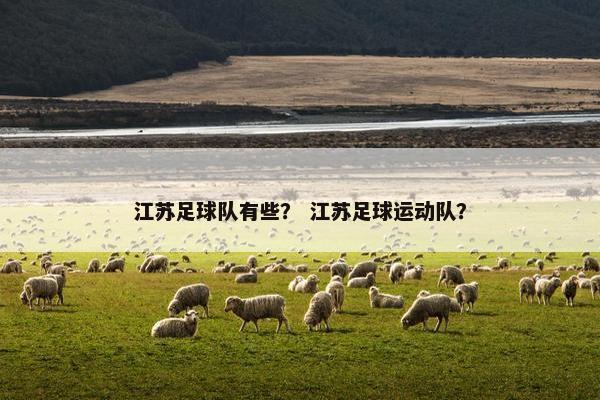 江苏足球队有些？ 江苏足球运动队？