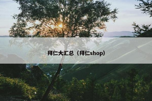拜仁大汇总（拜仁shop）