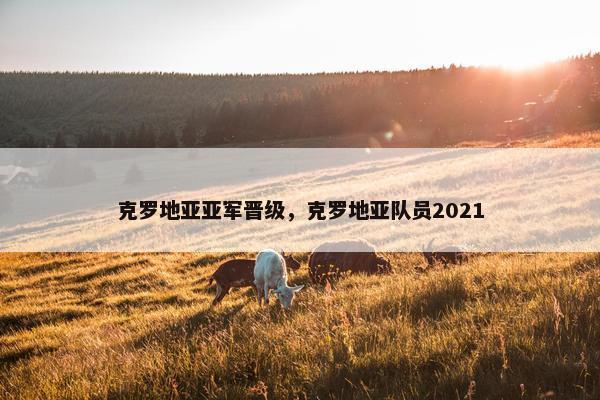 克罗地亚亚军晋级，克罗地亚队员2021