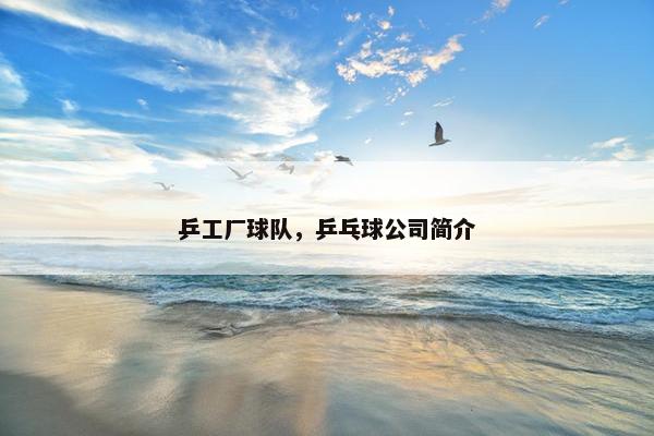 乒工厂球队，乒乓球公司简介