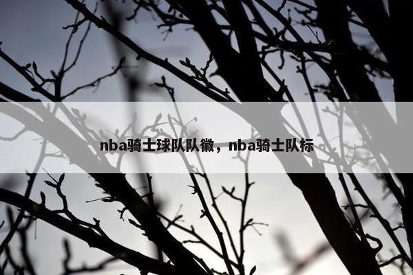 nba骑士球队队徽，nba骑士队标