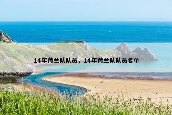14年荷兰队队员，14年荷兰队队员名单