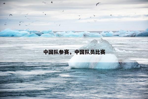 中国队参赛，中国队员比赛